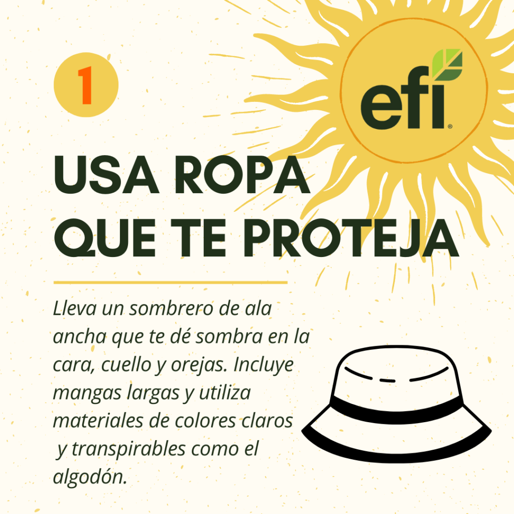 Infographic with steps to stay safe from sun in Spanish