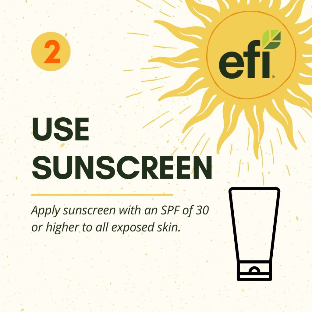 Infographic with steps to stay safe from sun