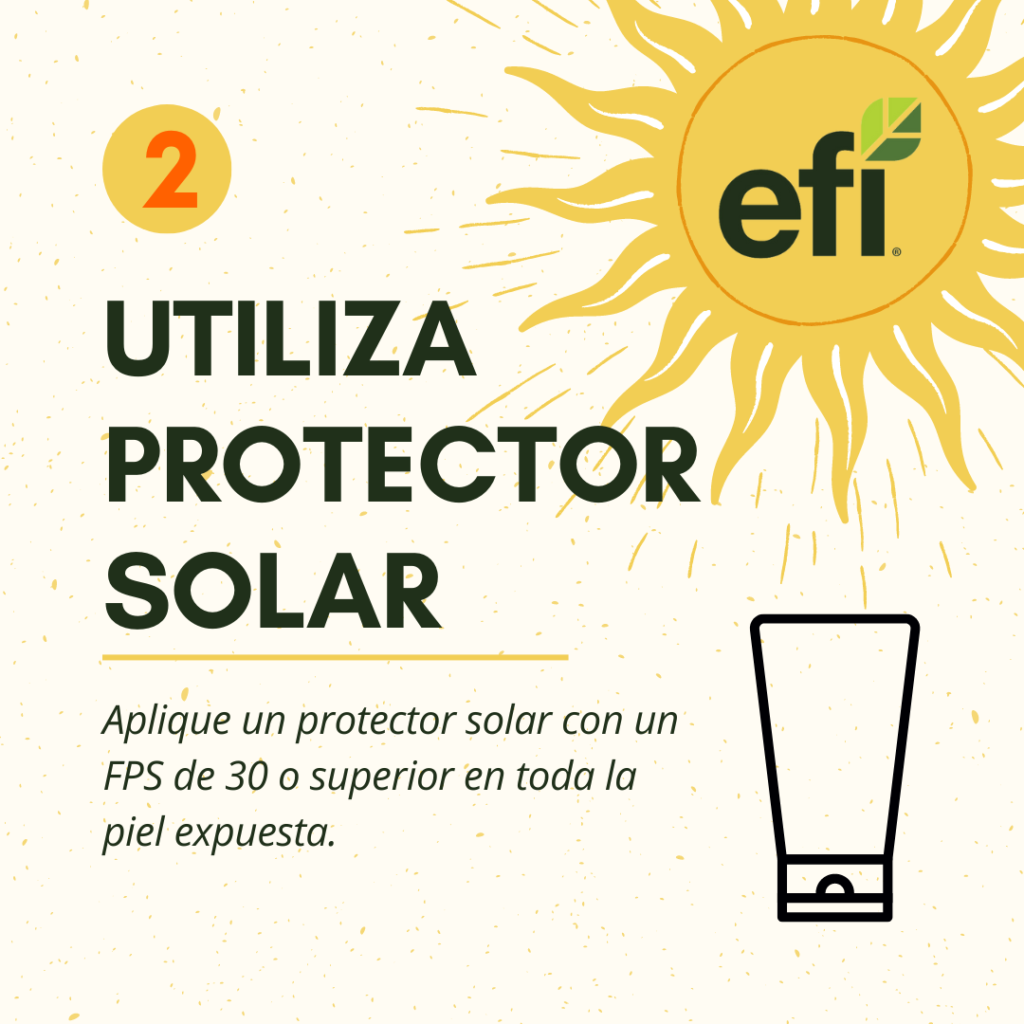 Infographic with steps to stay safe from sun in Spanish