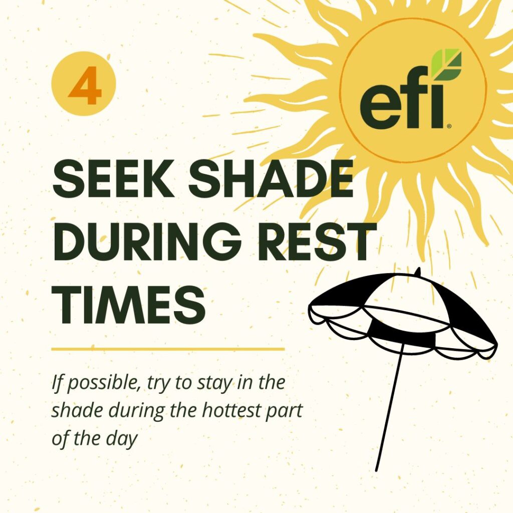 Infographic with steps to stay safe from sun