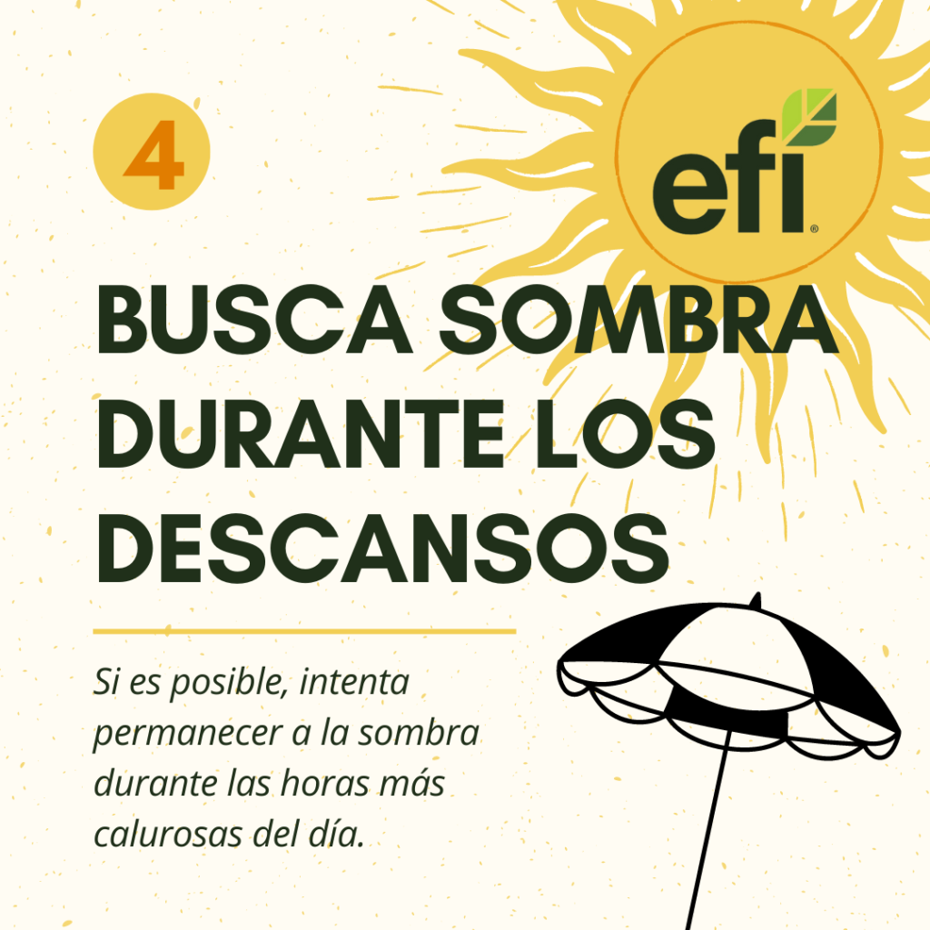 Infographic with steps to stay safe from sun in Spanish