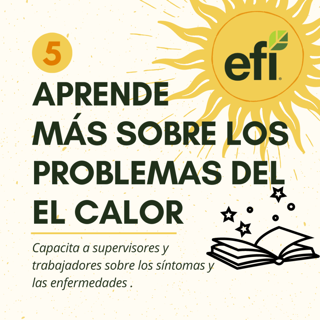 Infographic with steps to stay safe from sun in Spanish