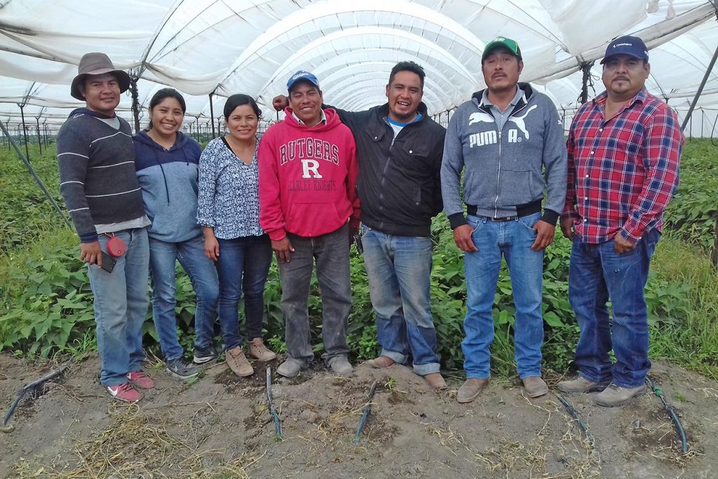 15,000 Farmworkers Reached Through EFI Certified Farms