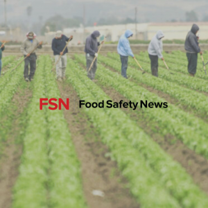 Food Safety News Article: Coronavirus and farmworkersa