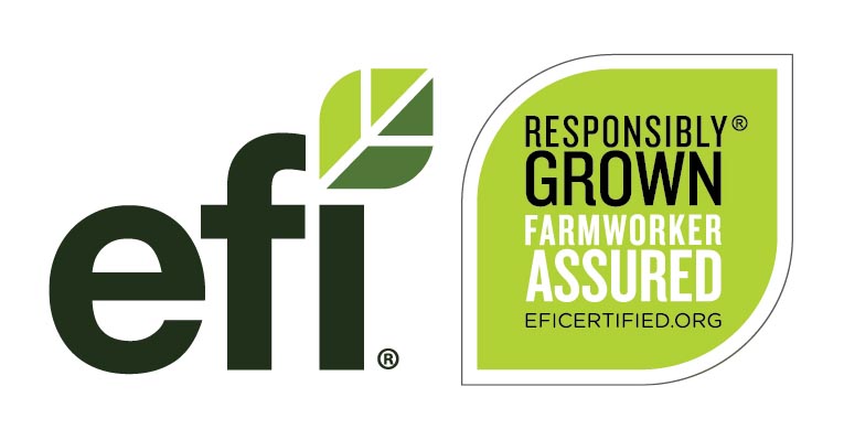EFI Launches New Logo and Label