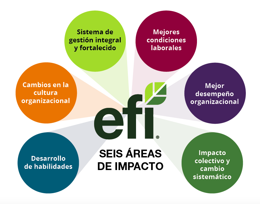 Graphic with EFI impact areas, including EFi{s logo and 6 circles in different colors with the description of every area