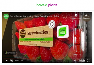 Produce for Better Health Foundation features EFI-certified strawberry grower.