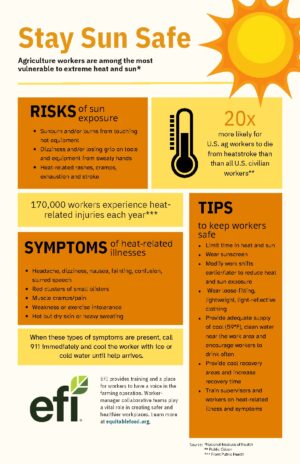 Infographic about sun safety for farmworkers covering heat exposure risks, symptoms, and workplace safety tips to prevent heatstroke.