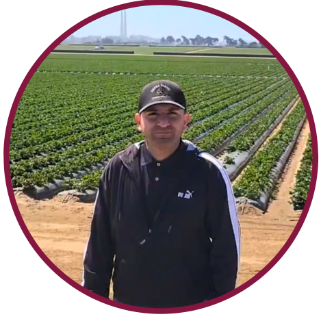 Portrait of a worker in a strawberry field wearing a cap, representing agricultural labor and farm worker opportunities.