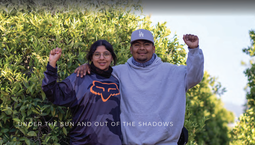 Image from Under the Sun and Out of the Shadows from UFW Foundation Two farmworkers pose together outdoors with green crops, representing workforce development and improved agricultural employment opportunities.