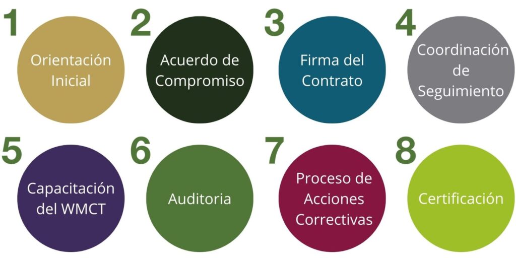 Eight-step FLC certification process including initial orientation, commitment agreement, contract signing, monitoring coordination, training, audits, corrective actions, and final certification.