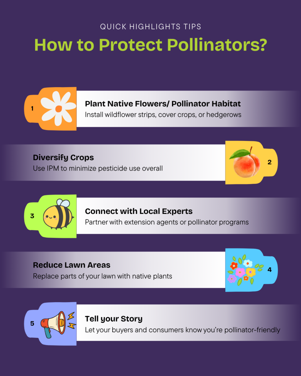 Infographic showing five strategies for protecting pollinators in agricultural operations, including planting native flowers, diversifying crops, and reducing pesticide use for sustainable food production.