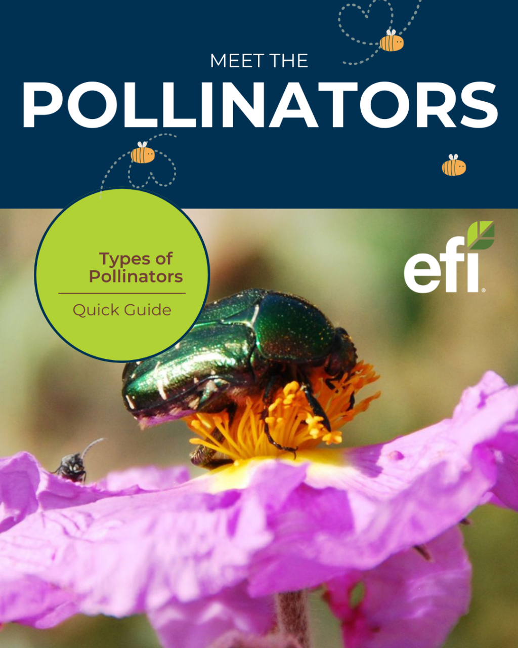Green beetle pollinating pink flower with bees flying overhead. Educational guide on pollinator types for food supply chain awareness.